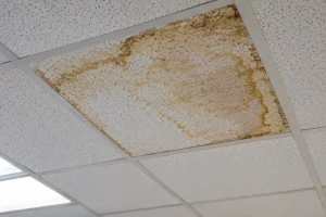 Water stain on a commercial building ceiling caused by a roof leak